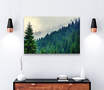 obraz slovenské lesy